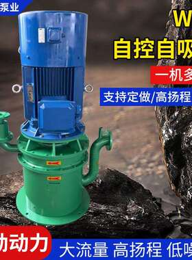 供应WFB自控自吸泵立式不锈钢自吸泵高吸程无密封自吸污水泵