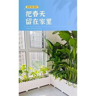 种菜阳台塑料花槽室内隔断加厚塑胶花箱PVC花箱长方形户外大花盆