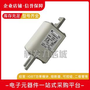 170M4832170M4833170M4834170M3812/3981/3982170M3983熔断器