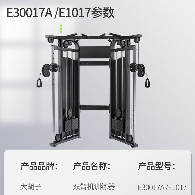 DHZ/大胡子双臂机E3017A龙门架小飞鸟健身房健身器材组合器械