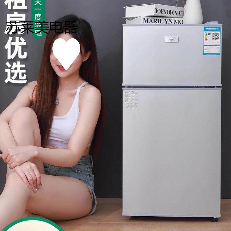 小冰箱家用小型宿舍出租房冷冻冷藏迷你双开门电冰箱一级节能省电