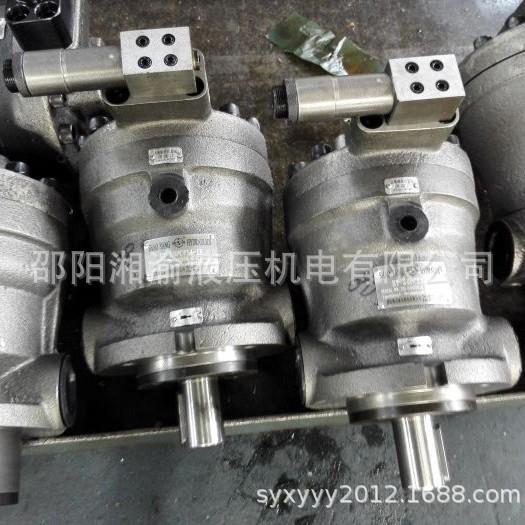 SY-63/80/125/160/250/40/25PCY14-1BL邵阳维克柱塞泵10PCY14-1EL