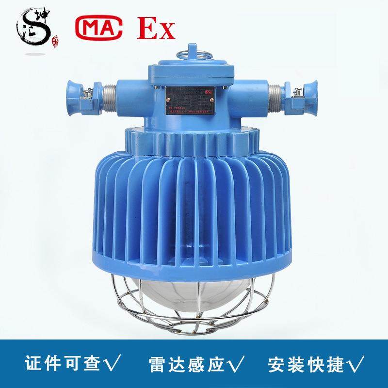 DGS52/127L(a)矿用巷道灯感应巷道照明灯矿用隔爆型LED巷道灯