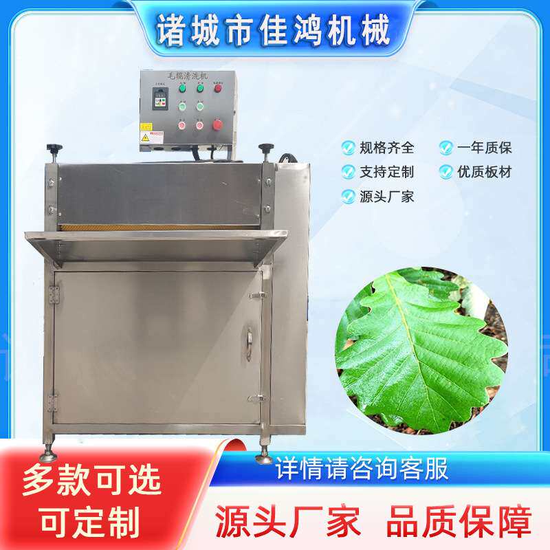 玻璃柞树叶清洗设备 新鲜槲叶粽叶清洗机 粽叶清洗机 佳鸿