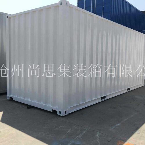 标准特种货运集装箱20gp