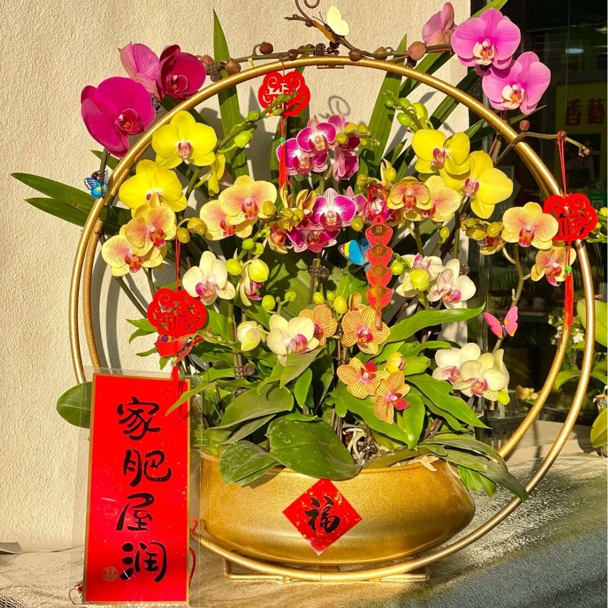 新中式蝴蝶兰花盆花架仿真植物花盆简约轻奢年宵花盆栽摆件大号