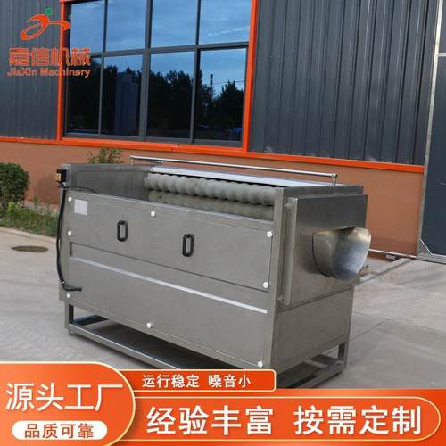 大型果蔬清洗去皮机红薯萝卜清洗去皮机毛刷毛辊土豆地瓜去皮机