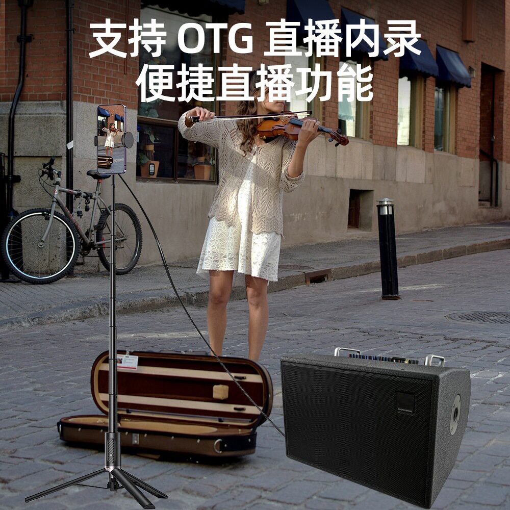 高品质吉他音箱双喇叭调音台