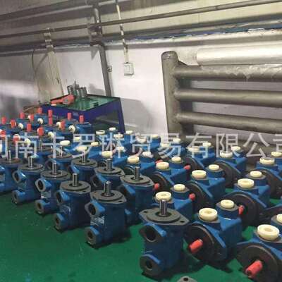 直销叶片泵vanepump1U2667配件