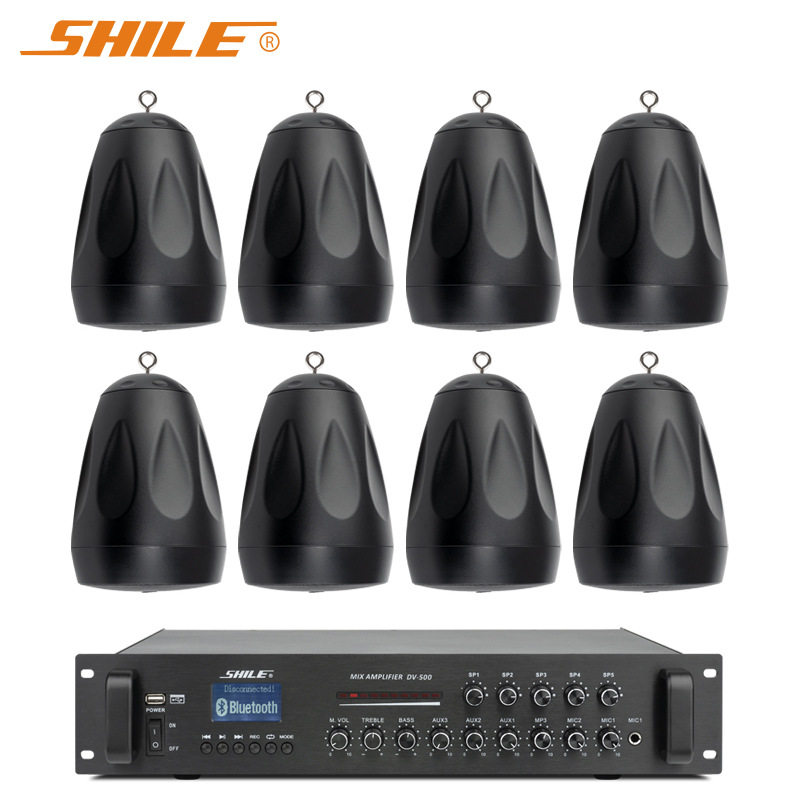 狮乐吊球音响音箱天花吸顶喇叭套装吊球喇叭DV-500+L-6