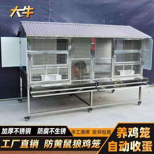大牛不锈钢鸡笼家用室外大型防雨鸡舍户外养鸡专用笼自动清粪收蛋