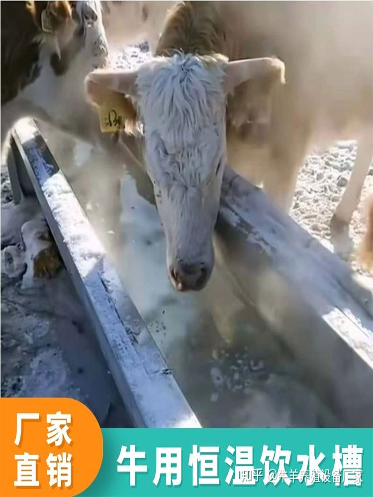 不锈钢牛槽食槽加厚恒温饮水槽自动上水槽料槽羊槽恒温加热大水槽