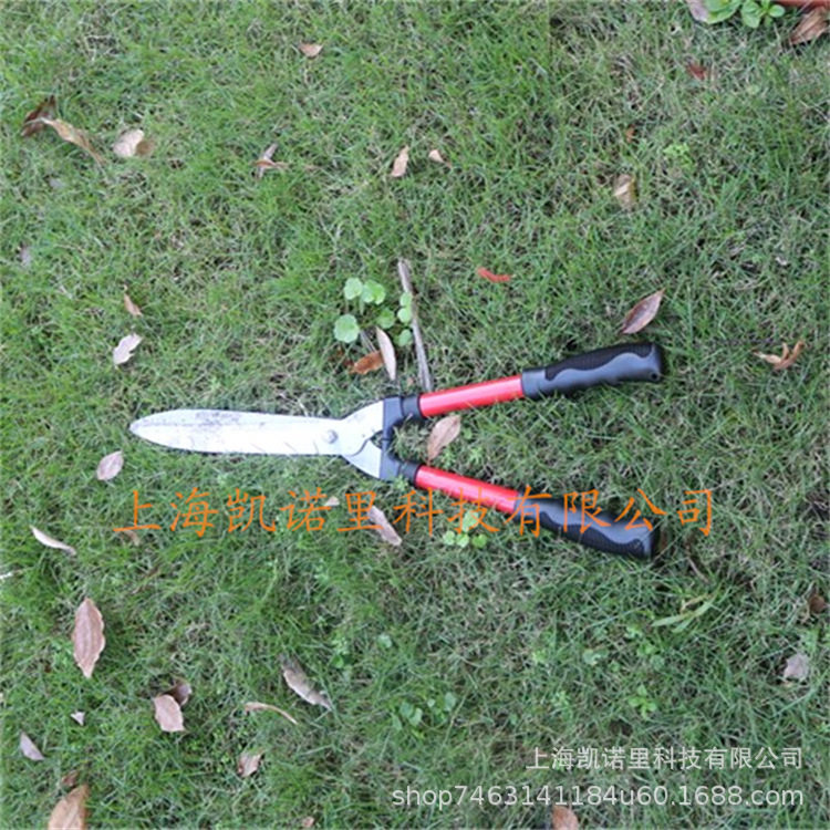 剪园艺修枝剪草坪修剪工具剪园艺修枝剪草坪修剪绿植剪