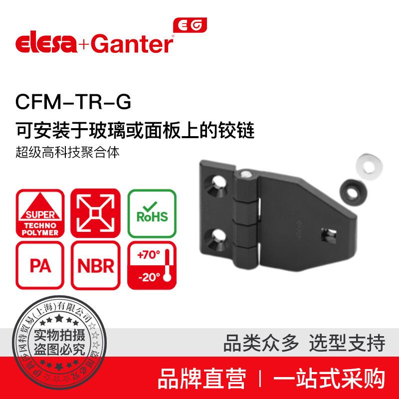 ElesaGanter伊莉莎冈特CFM-TR-G可安装于玻璃或面板上的铰链