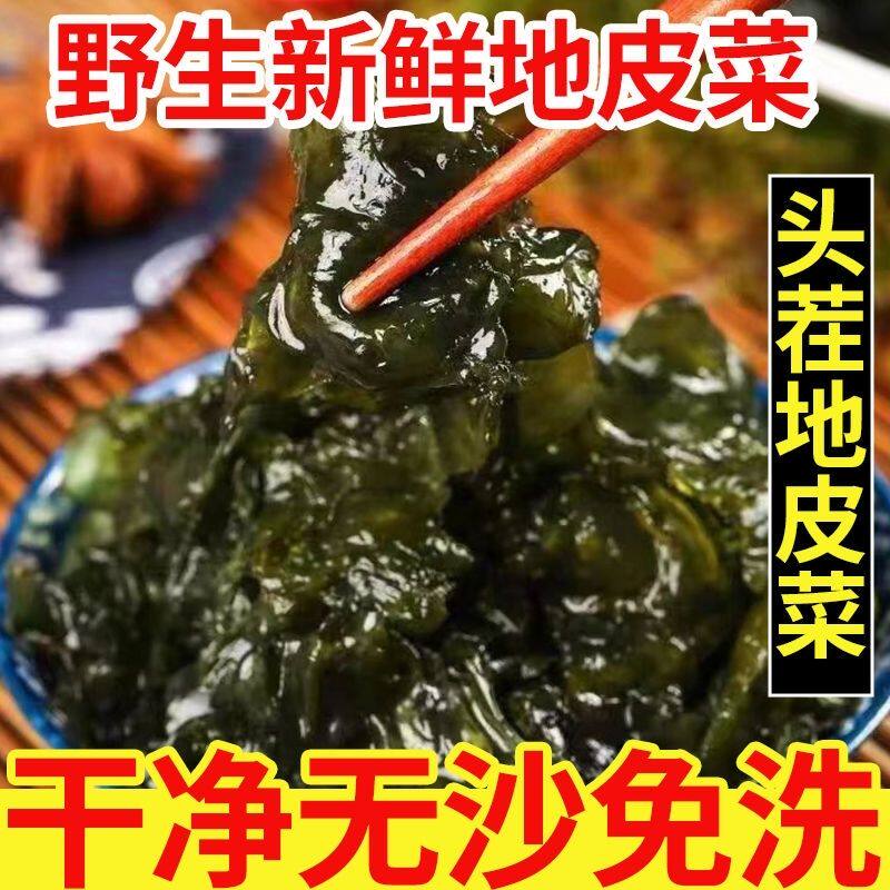 新货地软地皮菜野生免洗干货地衣菜新鲜地达菜特产地耳
