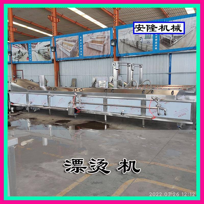 真空竹笋漂烫机果蔬加工设备蔬菜焯水机青梗菜漂烫杀青机