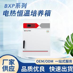 140N电热恒温培养箱实验微生物培养箱热分布循环培养箱 BXP