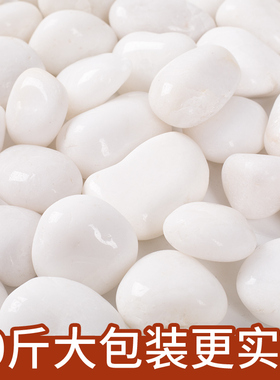 白色鹅卵石雨花石原石庭院铺地软石子家用鱼缸造景天然精抛小石头