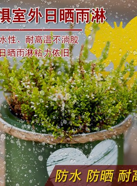 双面粘虫板黄板诱虫纸贴黄色小飞虫沾果蝇家用诱捕器粘板针蜂大棚