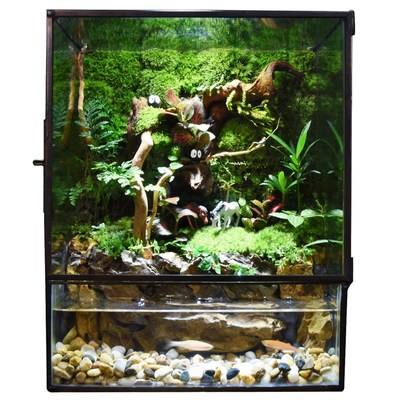 苔藓微景观水陆雨林缸生态瓶苔藓鲜活小盆栽植物森林造景成品养鱼