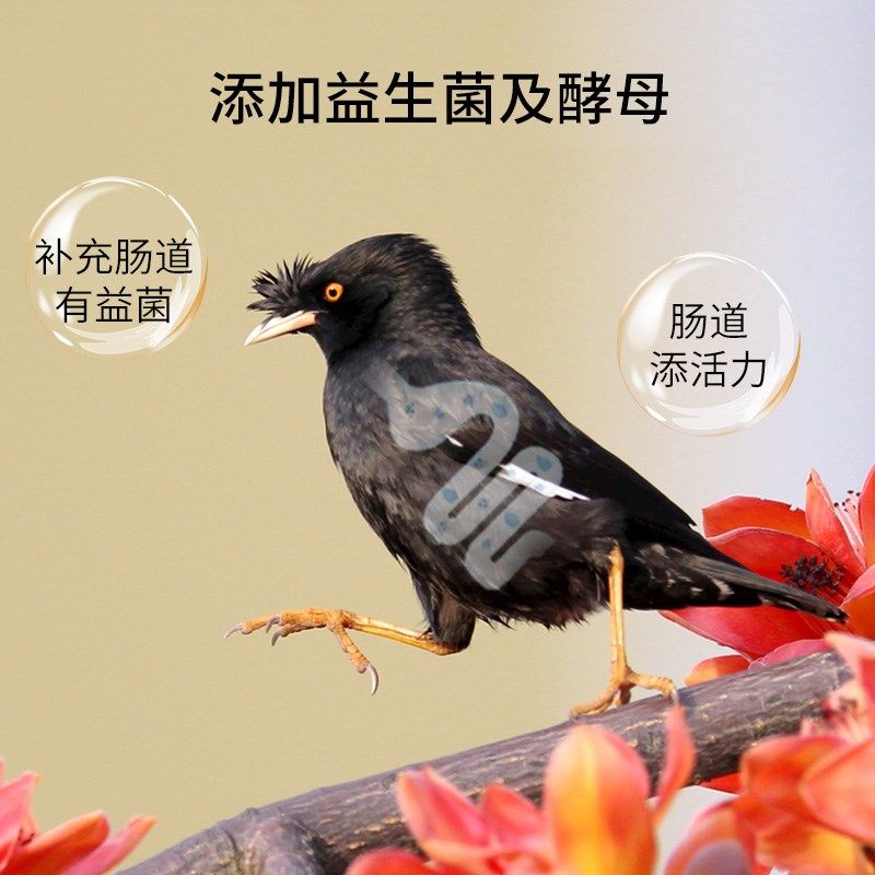 开元全价八哥鸟食饲料林八哥鸟粮黑八海八哥鹩哥营养专用鸟料食料,宠物/宠物食品及用品,鸟食,淘宝优惠券,粉丝福利购,淘宝优惠卷