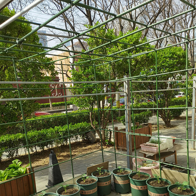 爬藤架花架爬藤支架蔷薇月季豆角葡萄架蔬菜种植箱固定支撑杆