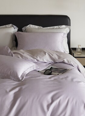 100支长绒棉琉璃紫色裸睡四件套全棉1.5m1.8公寓床上用品床单被套