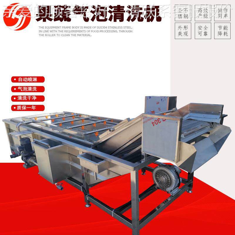 全自动果蔬JYH气泡清机瓜青菜洗线草莓杨黄梅桑洗葚鼓泡清洗清设