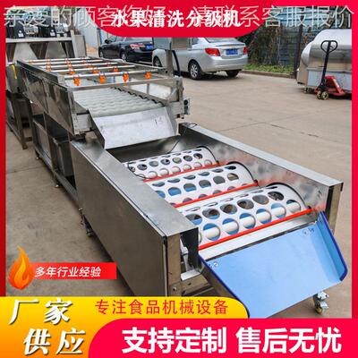 全打自动西梅清洗分蔬机 油桃清级洗风干蜡AFJ线 大型果清洗选果