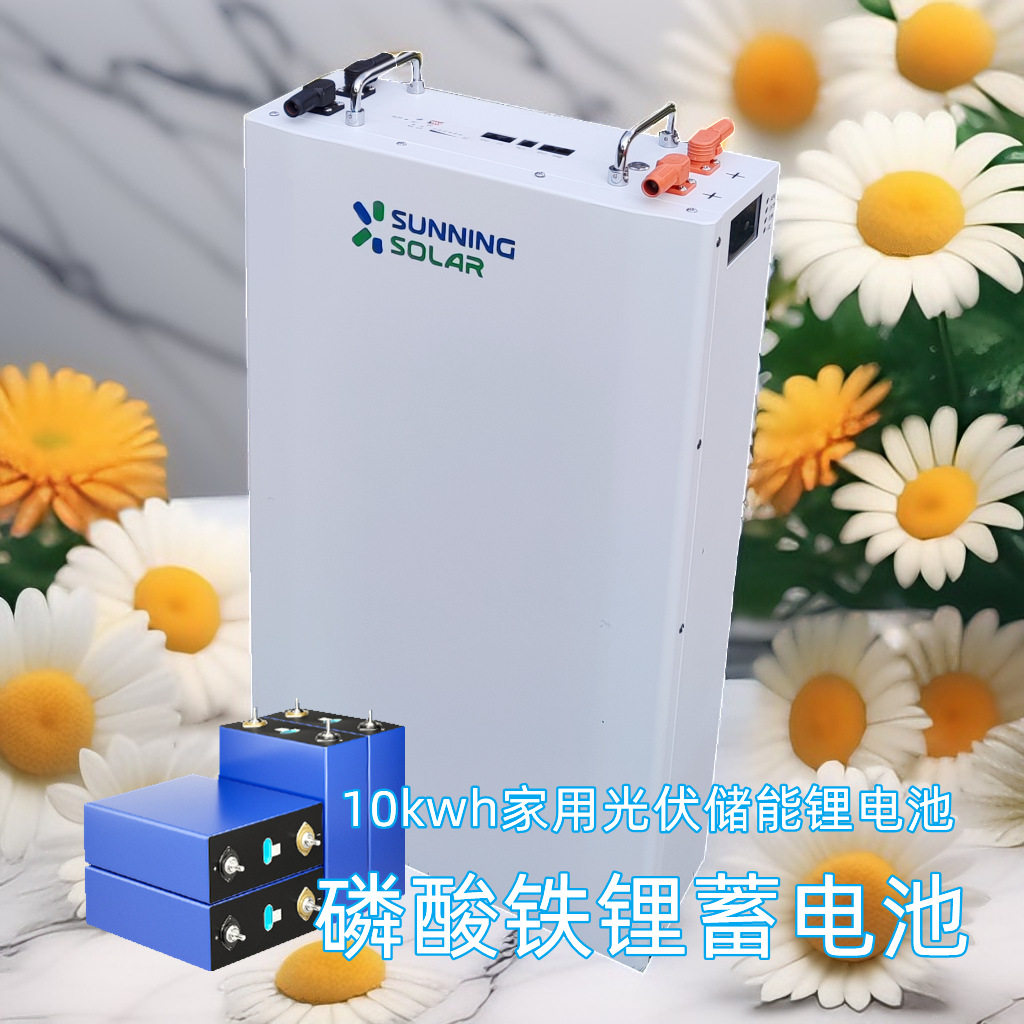 LiFePO4锂电池48V磷酸铁锂光伏储能电池并离网太阳能储能系统家用
