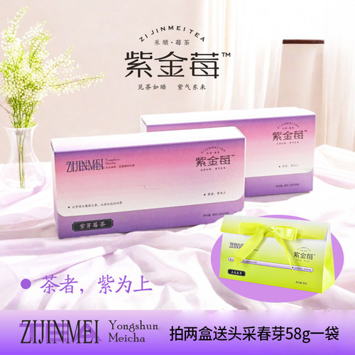 紫金莓茶2025年头春头采