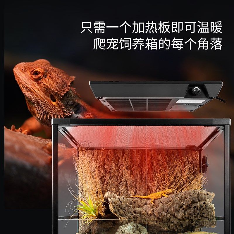 reptizoo爬宠可调温加热板爬虫饲养箱暖风机陆龟蜥蜴守宫角蛙加热,宠物/宠物食品及用品,爬宠温控/湿度设备,淘宝优惠券,粉丝福利购,淘宝优惠卷