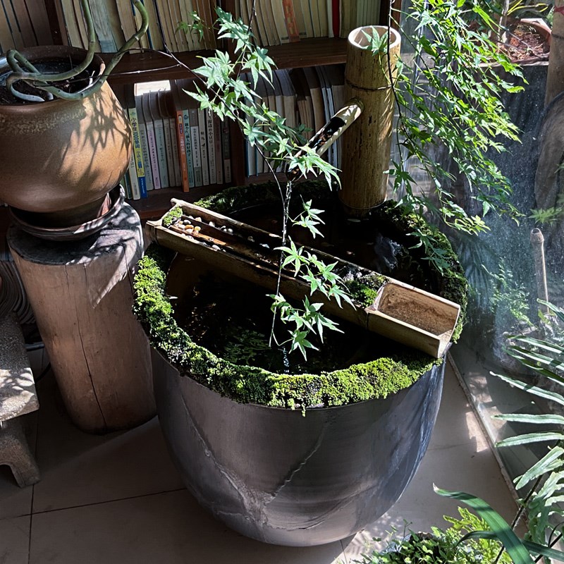 物喜一侘生态鱼缸中式空间美学造景庭院阳台古法陶瓷落地原生缸