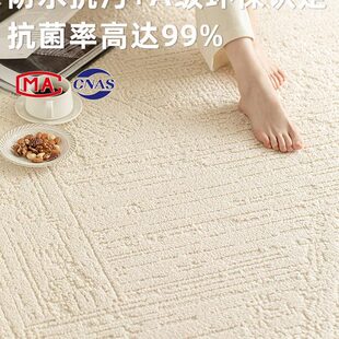 防水防污免洗可擦地板铺垫轻奢高级硅藻丝沙发毯 地毯客厅2024新款