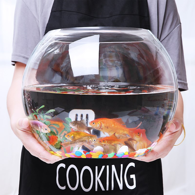 圆形玻璃鱼缸办公桌面绿萝水培家用金鱼缸创意透明小型迷你乌龟缸