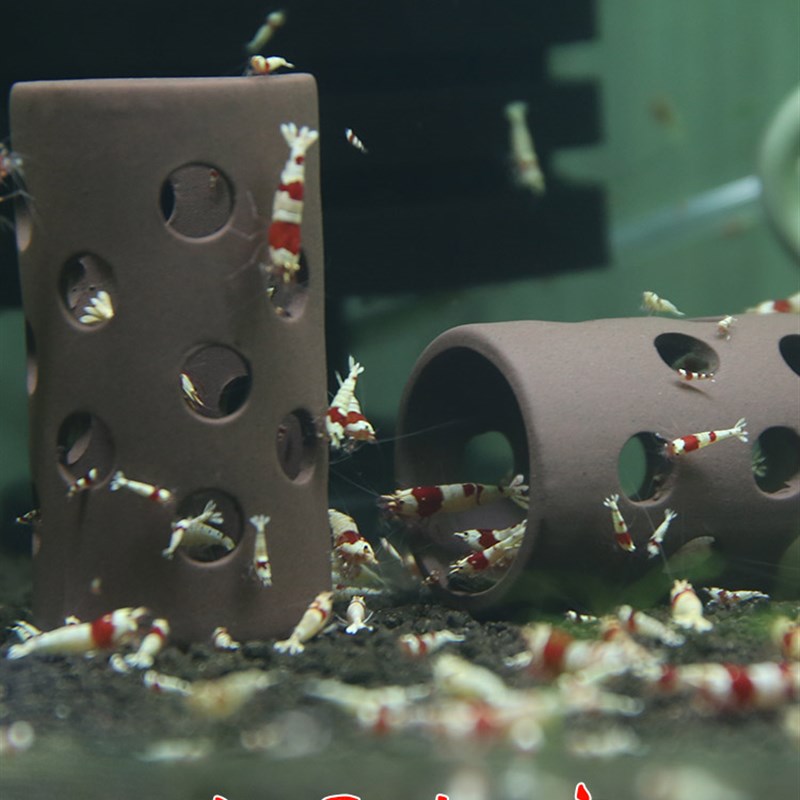 鱼缸躲避屋迷你鹦鹉鱼繁殖窝观赏虾罐孔雀鱼小鱼虾陶瓷虾屋产卵洞