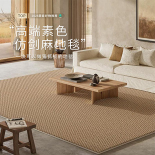 卧室免洗可擦轻奢高级侘寂风大面积家用垫 仿剑麻地毯客厅2025新款