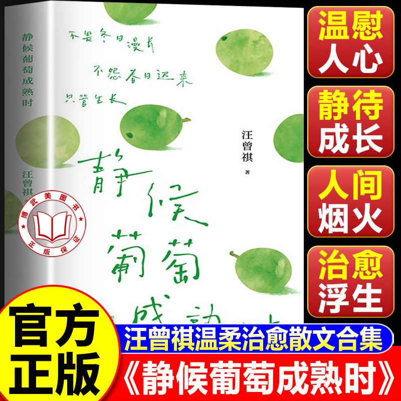 【官方正版】静候葡萄成熟时 汪曾祺经典散文治愈合集 用一颗葡萄的智慧作为焦虑时代的情绪解药