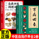 龚廷贤 收录300 验方 中医草药验方新编大全 万病回春原版 中医治未病解读指南 中医养生书籍 认准正版