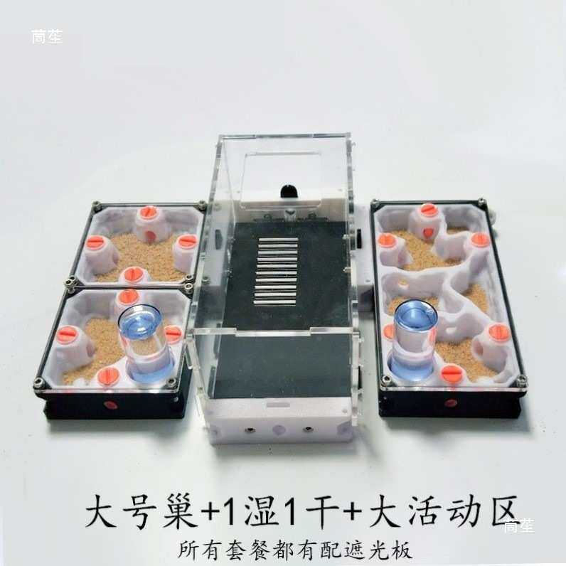 仿生蚁巢平面蚁巢亚克力蚁巢3D打印蚁巢蚂蚁便宜