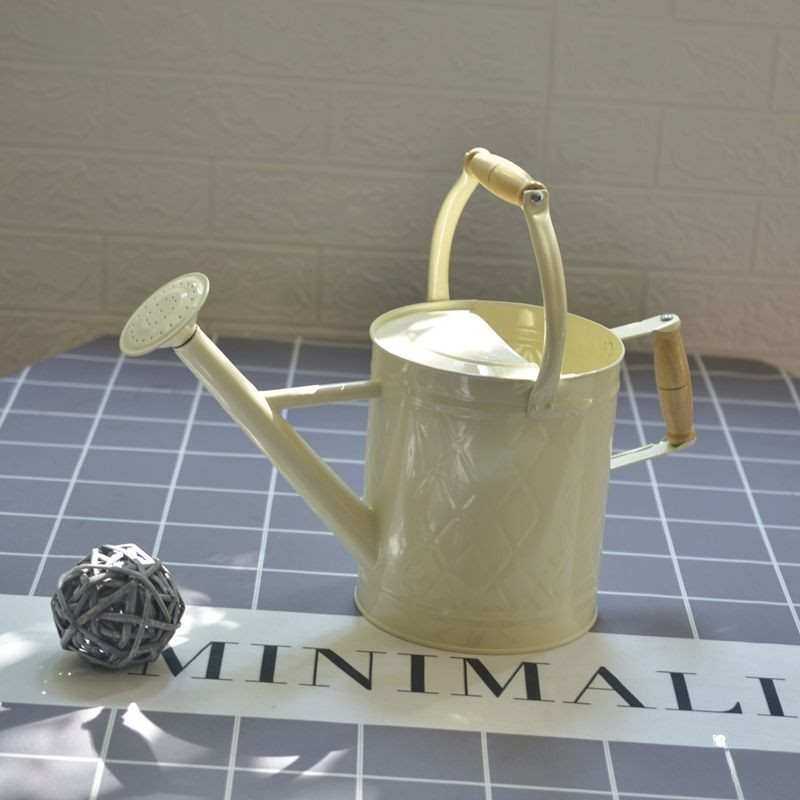 两用铁洒水壶浇花家用种菜养花大号浇花壶大容量园艺喷壶,电子元器件市场,其它元器件,淘宝优惠券,粉丝福利购,淘宝优惠卷