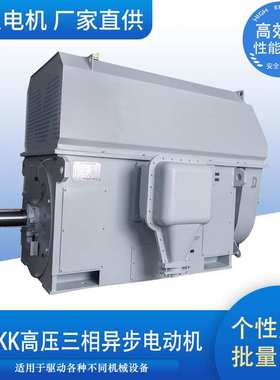 YKK/YXKK高压三相异步电动机破碎机10KW山东电机工厂