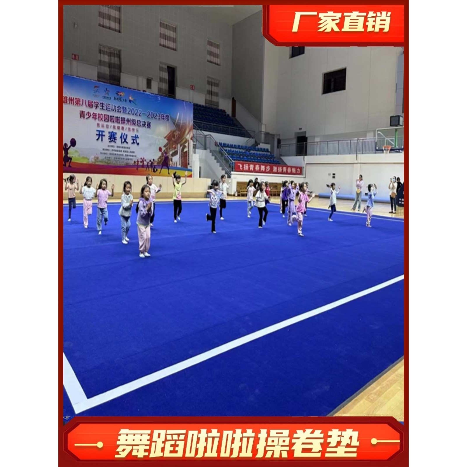 啦啦操卷垫艺术体操垫健美操武术散打格斗搏击体适能训练舞蹈地垫