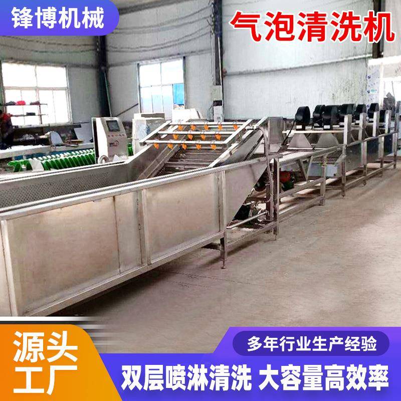 果蔬气泡清洗机预制菜清洗加工设备大型全自动叶菜类气泡清洗机