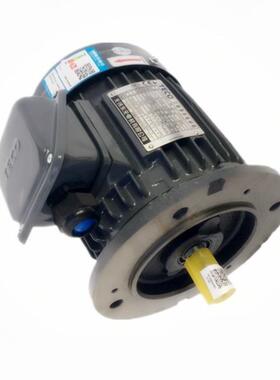 东莞现货销售三相异步电机TEGH-7.5W/4极1400转马达