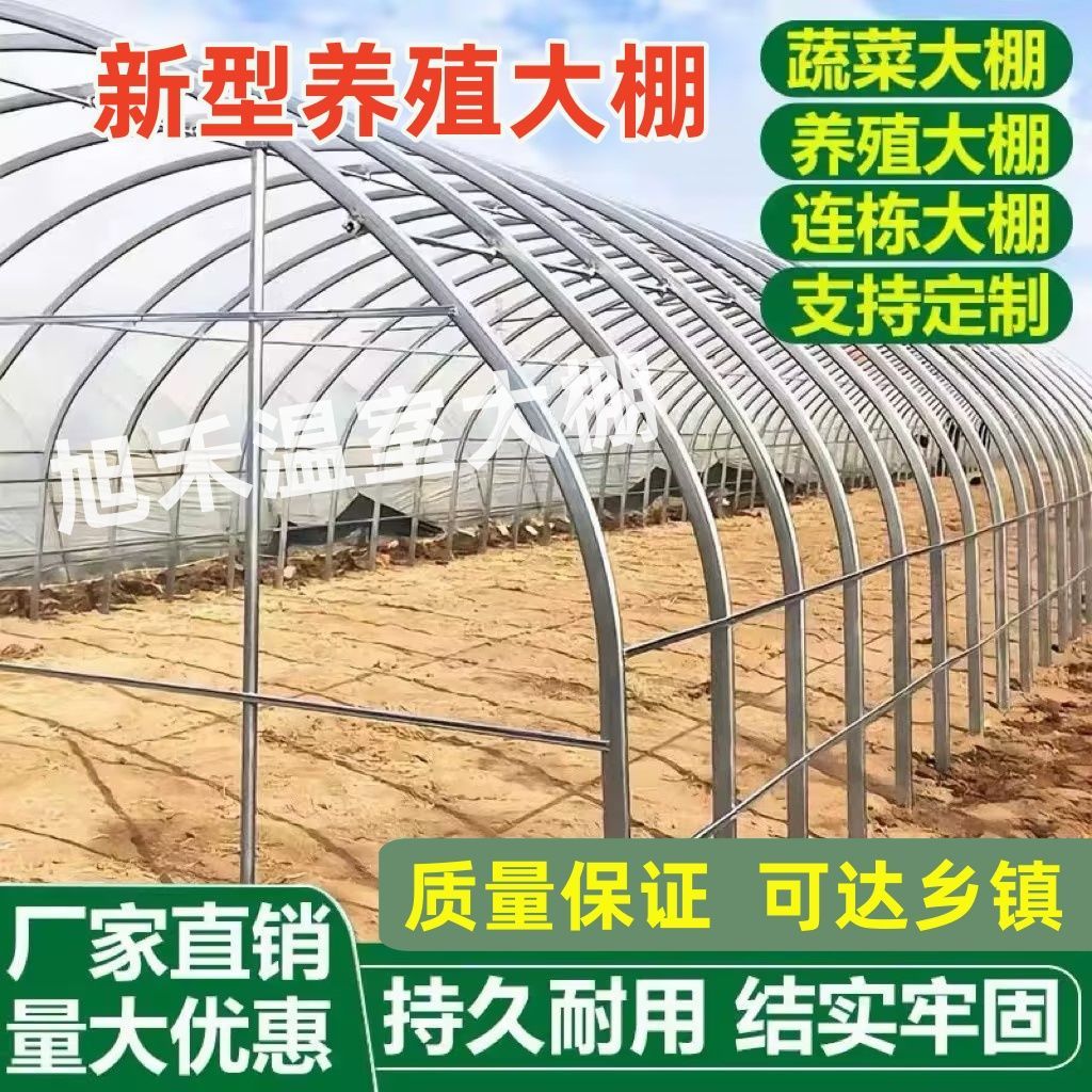 大棚钢管骨架蔬菜种植养