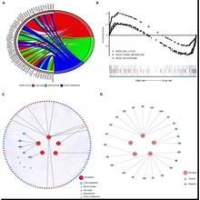 R语言代做rstudio统计量金融经济时间序列编程python机器深度学习