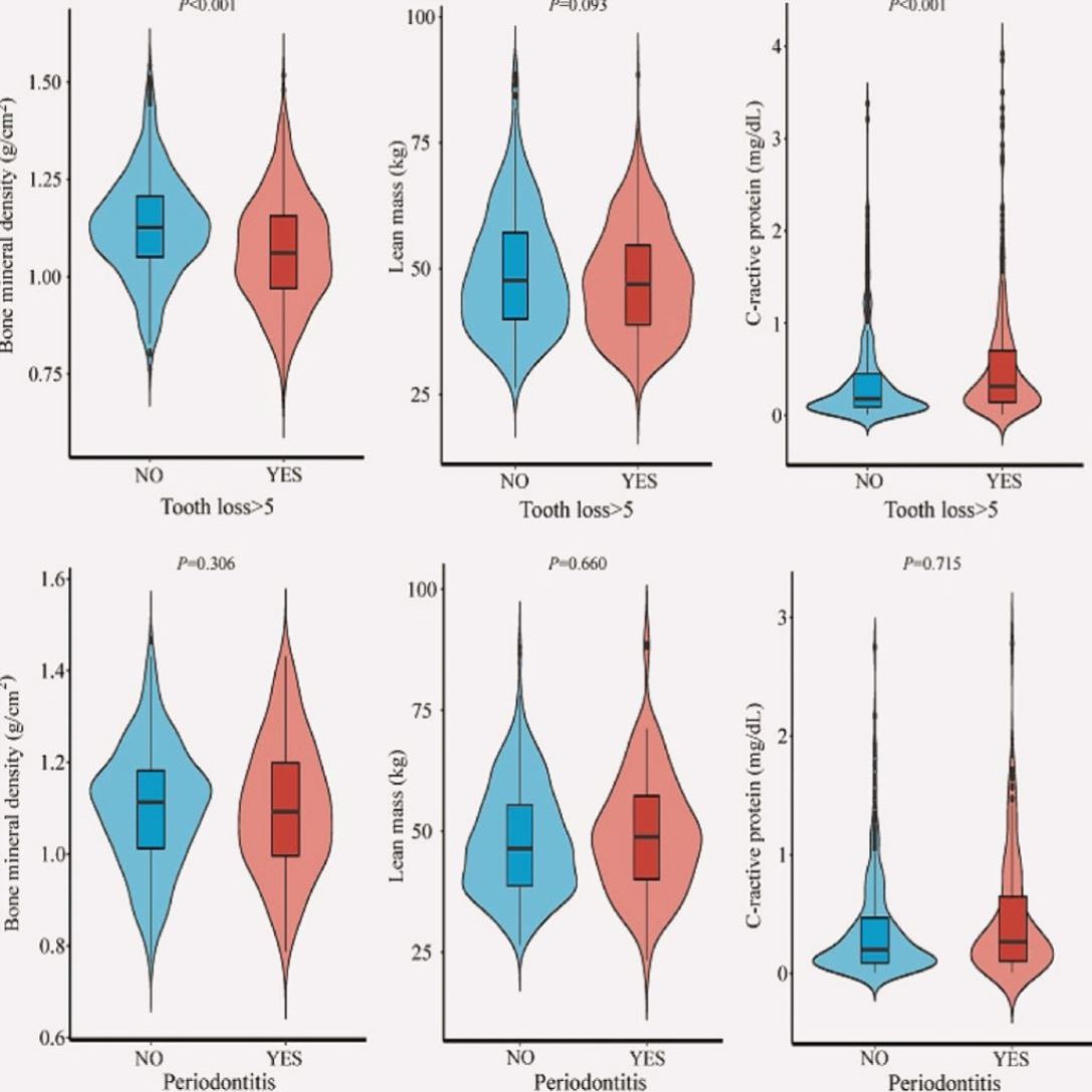 10xRNA单细胞原始数据分析空转数据分析服务