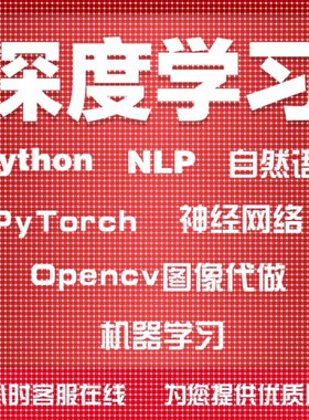 Python深度机器学习NLP自然语言PyTorch神经网络Opencv图像代做