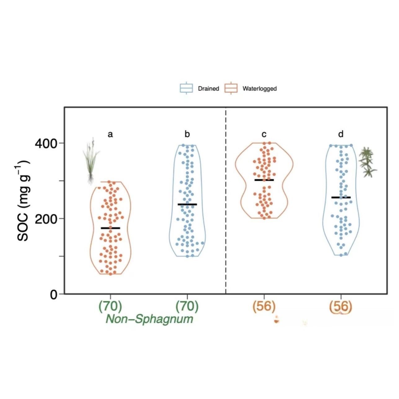 生信分析单细胞测序TCGA/GEO公共数据库挖掘